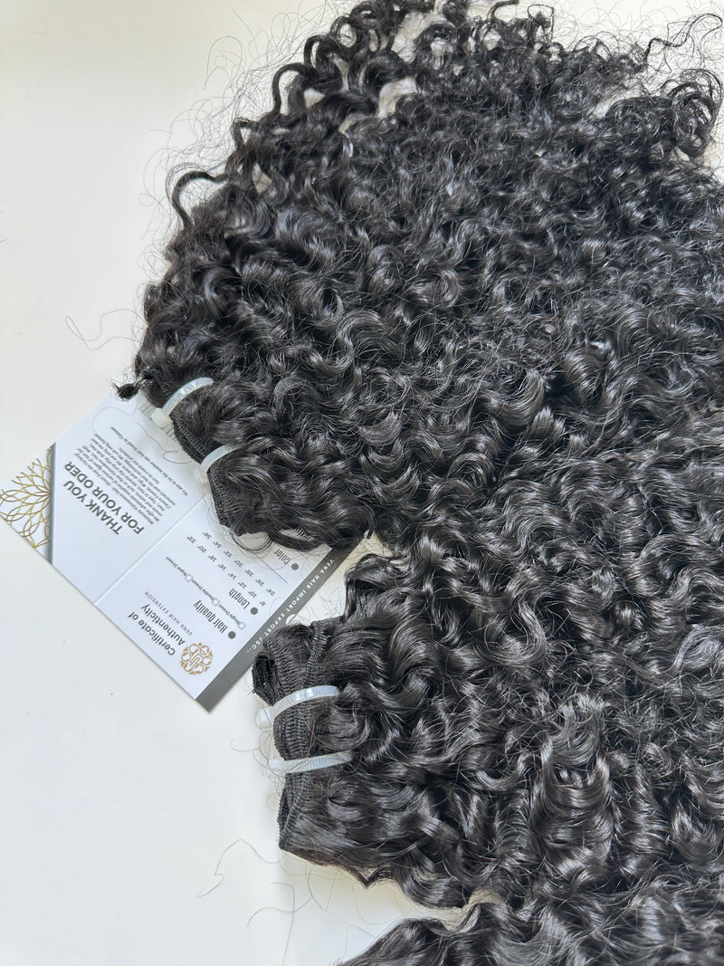 Burmese Curly 20" and 22"